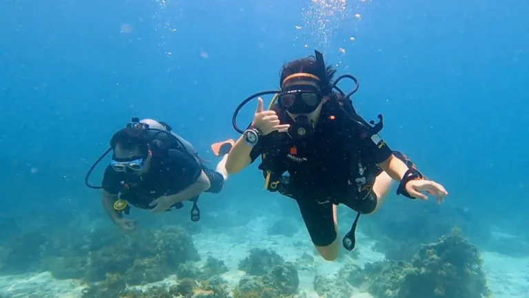 padi open water diver course