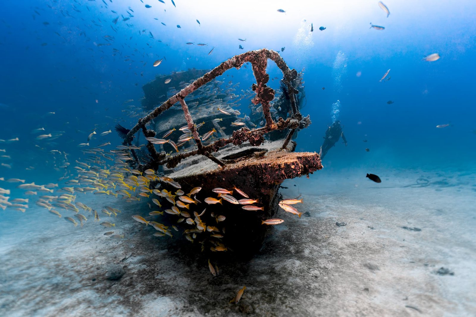 PADI WRECK DIVER Feature Img