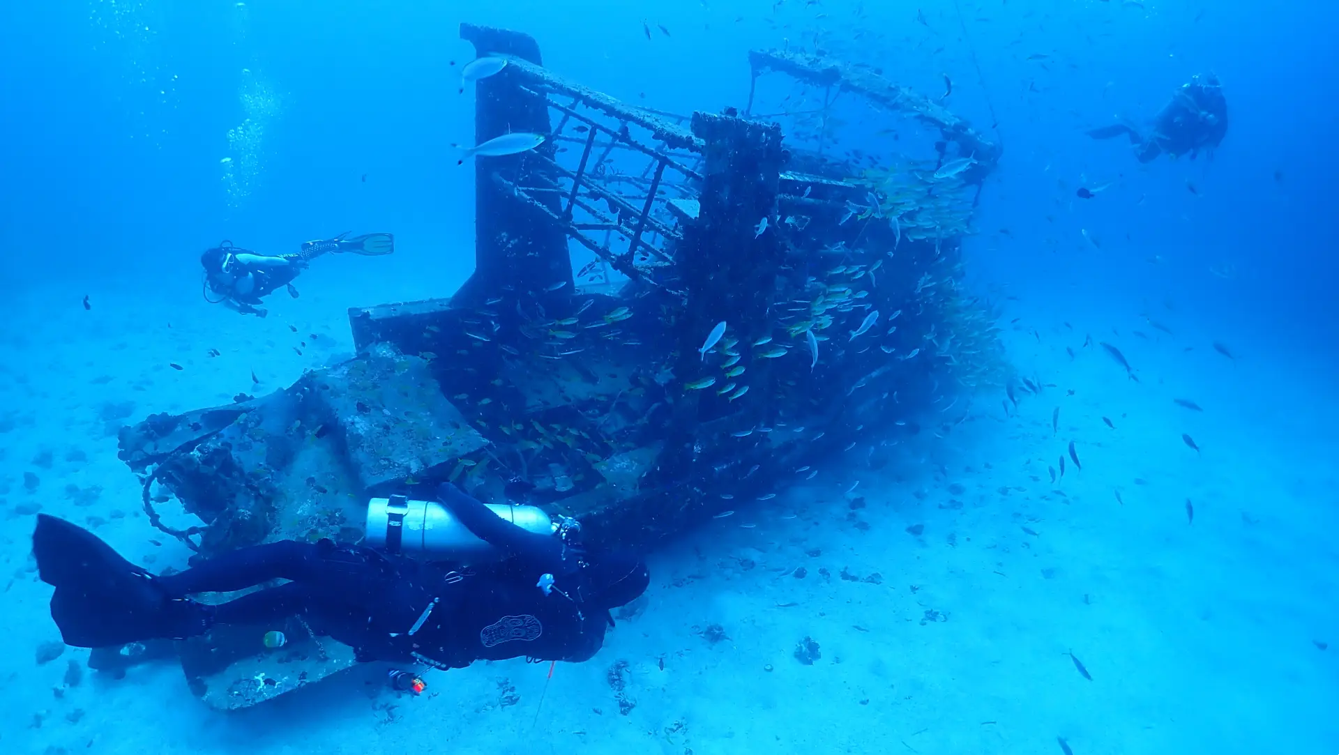 divemaster bohol